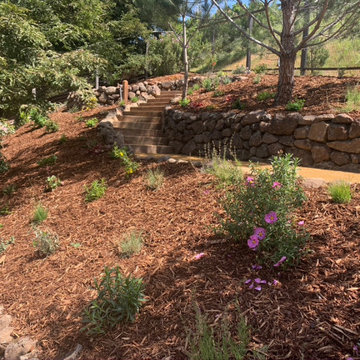 Hillside Flower Meadow + Food Forest