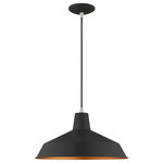 Livex Lighting - Livex Lighting Black 1-Light Mini Pendant - A black finish defines the striking look of the mini pendant light. It has a single-light construction, with a gold finish on the underside for a lovely contrast. Industrial chic has never looked better.