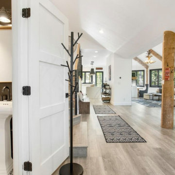 Vail Whole House Renovation - Mountain Modern Style