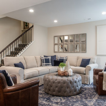 Transitional Lower Level in St. Louis