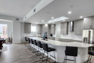 Inspiration for a modern home design remodel in Tampa