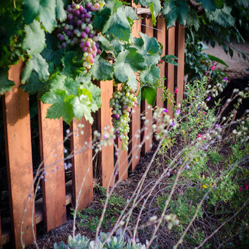 Plantings