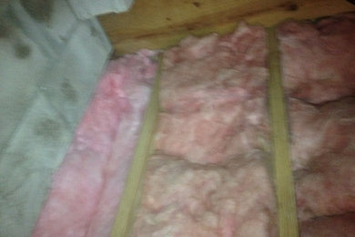 Replacing Installation and Mold Remediation