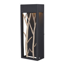 Outdoor Light fixtures