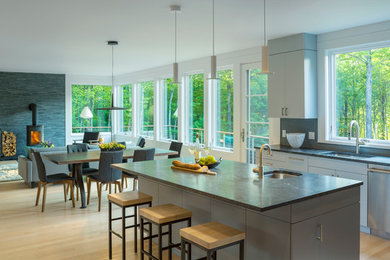 Example of a minimalist living room design in Burlington