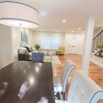 Reston Whole Townhome Remodel