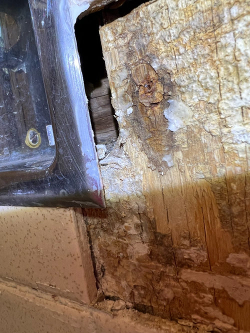 plywood under shower tile