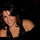Samantha Hoffer