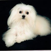 Julia Williams's photo