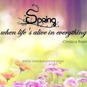 Rebecca Brew's photo