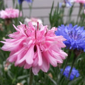 Anna Blyton's photo