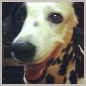 April Ortiz's photo