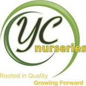 YC Nurseries's photo