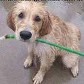 Susan Eaton's photo