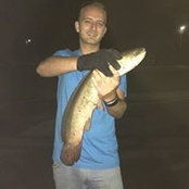 Dereck Walton's photo