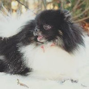 Таня Федькина's photo