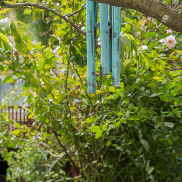 Garden in the Excelsior