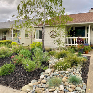 Native + Drought-Tolerant Front Yard