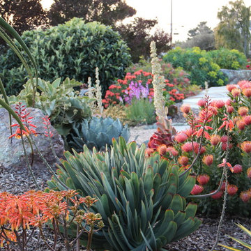 Morro Bay Mediterranean Garden at Dusk