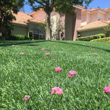 Front Yard Landscapes with Artificial Grass