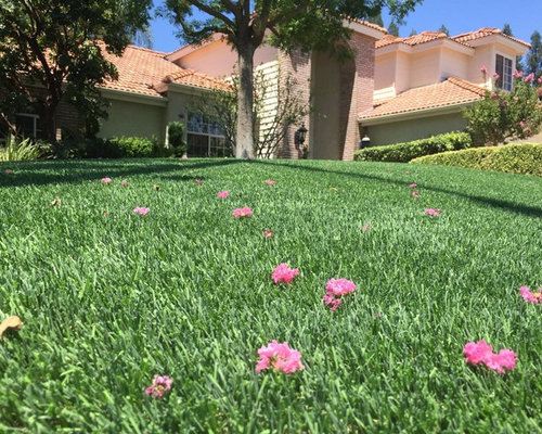 Front Yard Landscapes with Artificial Grass