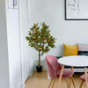 Serene Spaces Living Artificial Orange Tree, 47"