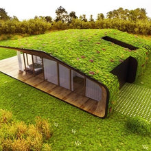 Vertical Gardens