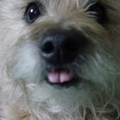 Lisa Glickstein's photo