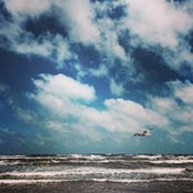 Tina Ann's photo