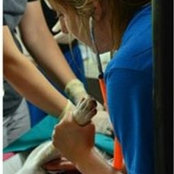 Taylor Fulk's photo