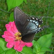 Wanda Fargo's photo