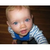 Dianna Funk's photo