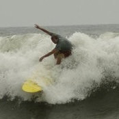 Michael Lipton's photo