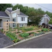 Potager Urbain's photo