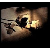 Farrah Kader's photo