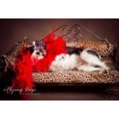 jenna yarosh's photo