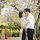 Huệ Vũ