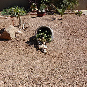 Desert Landscaping