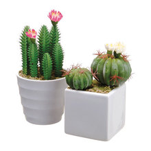 Wish List
