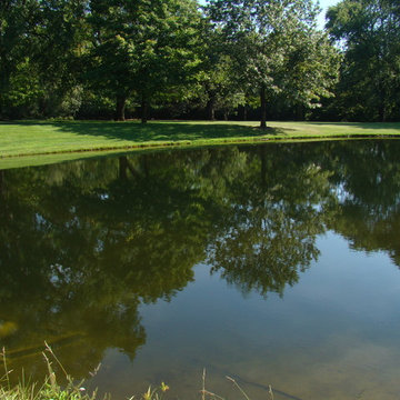 Estate Pond