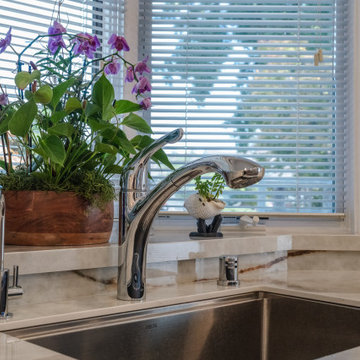 Wachob 2023 - Transitional Kitchen in San Jose