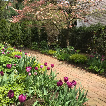 A glade of flowers replaces a Cambridge front lawn