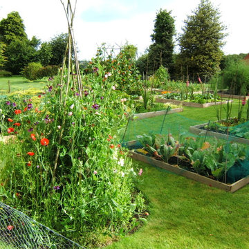 Vegetable Garden