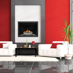 Napoleon HD40 Series 41'' x 41'' DV Gas Fireplace System - Indoor Fireplaces