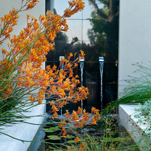 Planting