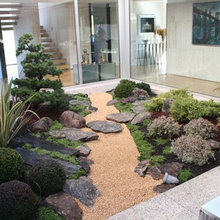 Jardin