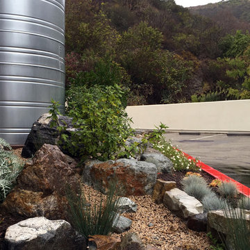 1000 gallon rainwater tank overflows to swale