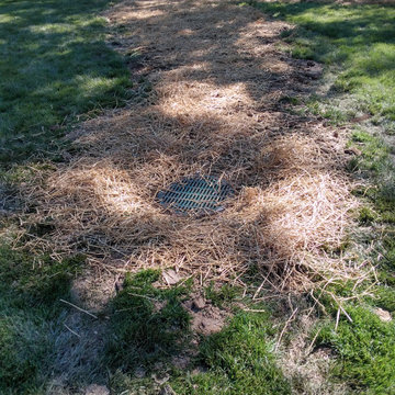 Grate installation/French drain