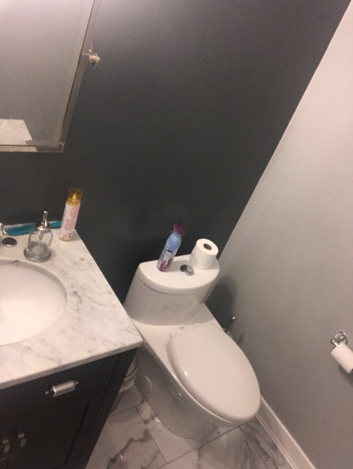 Powder room. Towel ring or rack for powder room