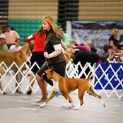 Jeannie Miskey's photo